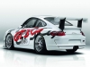 tmb_porsche_911_2 Das neue Porsche GT3 Cup Auto