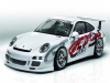 tmb_porsche_991_1 Das neue Porsche GT3 Cup Auto