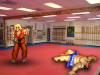 tmb_retro_dojo___street_fighter___by_retronoob Retro Vs. Real Life